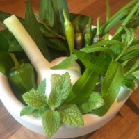 How To Grow Your Own Thai Curry