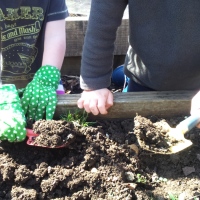 How Our Love Of Gardening Began - With Thanks